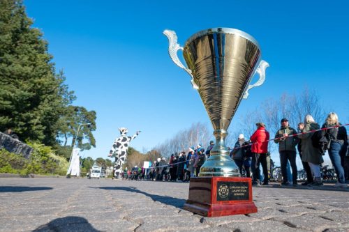 Foto: Toomas Veersoo